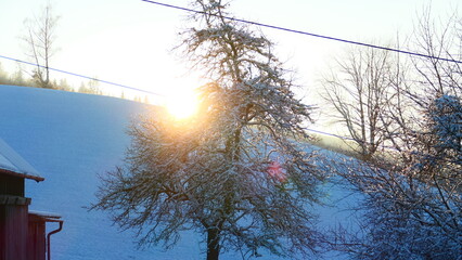 Sonnenuntergang in Winterlandschaft, Wienerwald, Nieder&ouml;sterreich 