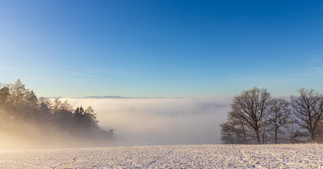 Inversion fog under small ski slope with trees during sunny day. Sport, touristic Czech landscape