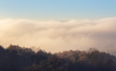Inversion fog above trees and blue sky. Weather background