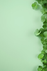 Green clover leaves arranged on a soft pastel green background, creating a fresh and vibrant atmosphere, ideal for nature-themed designs or seasonal celebrations
