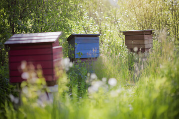Colorful beehives in a lush green garden, surrounded by wildflowers and sunlight, showcasing the beauty of nature and the importance of pollinators in the ecosystem