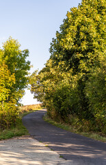 Village path through rural summer landscape panorama of the G&oacute;ry Sowie (Owl Mountains), Poland, with green hills, meadows, forests, and clear blue sky in natural daylight.