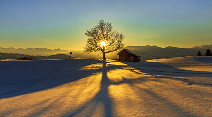 Allg&auml;u - Winter - Sonnenuntergang - malerisch - Stadel - Baum - Alpen - H&uuml;tte - Berge