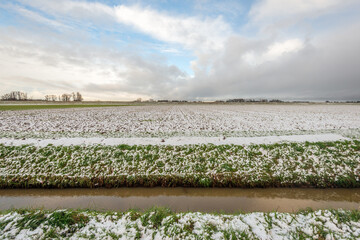 An agricultural polder landscape on a partly cloudy day in the Dutch winter season. A recently plowed field is covered in snow. In the foreground is a drainage ditch.