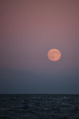 full moon hanging over scottish beach at dusk