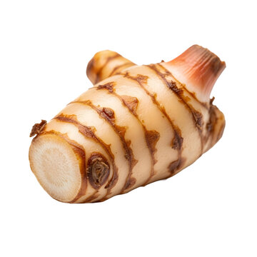 Fresh galangal root or Thai ginger rhizome isolated on white background, aromatic spice for Southeast Asian cooking