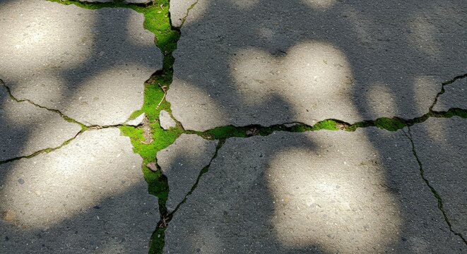 Cracked concrete pavement with moss and sun shadows