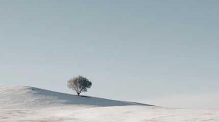 Single tree on top of a snow-covered hill. the sky is clear and blue, and the ground is covered in a blanket of white snow.