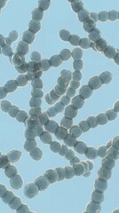 Streptococcus Bacteria Chains Under Microscope 3D Medical Illustration