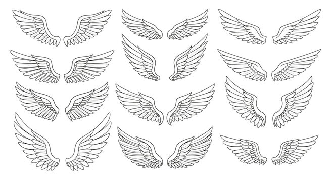 Collection of hand drawn angel and bird wings in various styles and positions isolated on white background.