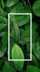 Minimalist Vertical White Frame Mockup Surrounded by Lush Green Leaves for Eco Friendly Branding Botanical Posters and Nature Invitations