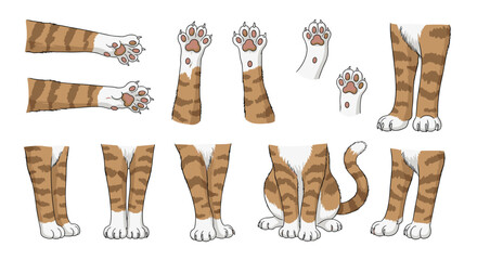 Array of ginger cat paws, legs, and a sitting kitten illustration in various poses on a clean white background.