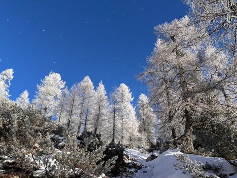 Julian Alps winter landscape, path to Debela pec peak