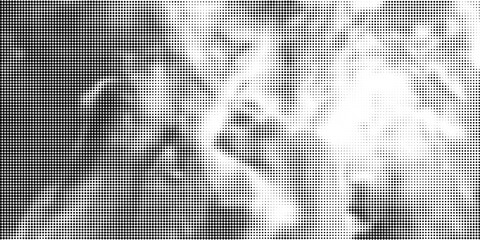 Grunge halftone gradient background. Faded grit noise texture. White and black sand wallpaper. Retro pixelated backdrop. Anime or manga style comic overlay. Vector graphic design textured template