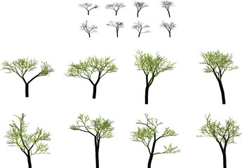 set of trees with green leaves and bare trees on white