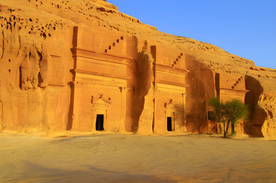 "Ancient Nabataean rock-cut facades with a lone green tree in Hegra, AlUla, Saudi Arabia, digital art illustration"