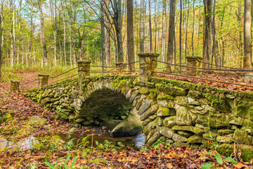 Elkmont Troll bridge in the Smoky Mountains