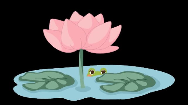 Cute frog peeking from pond with pink lotus flower and lily pads, simple cartoon animation, kids nature loop background clip