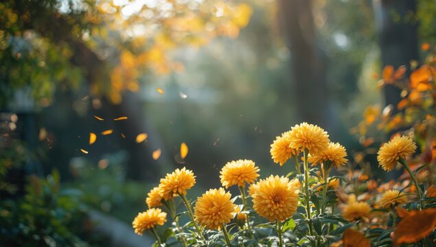 Autumn scene featuring bright yellow spherical chrysanthemum flowers arranged in a colorful floral display