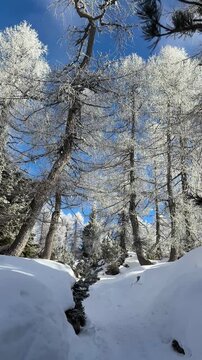 Julian Alps winter landscape, path to Debela pec peak