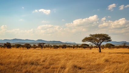 African wildlife habitats in bushveld and savannah regions, highlighting ecological preservation efforts