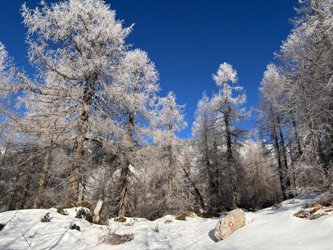 Julian Alps winter landscape, path to Debela pec peak