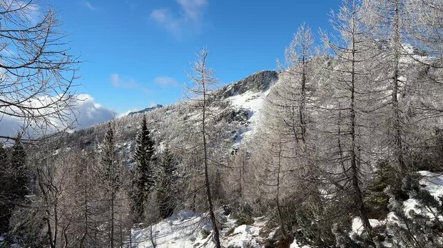 Julian Alps winter landscape, path to Debela pec peak