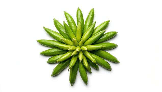 Indian bean pods laid out on a textured background, highlighting their edible qualities and nutritional potential, World Food Day
