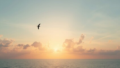 Naklejka premium A bird gliding beneath a sky filled with warm-colored clouds, highlighting avian movement and atmospheric conditions