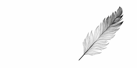 Soft, elegant feather on clean white surface, offering a serene and neutral subject for natural decor visuals