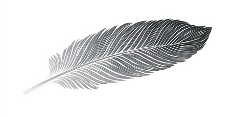 Soft, elegant feather on clean white surface, offering a serene and neutral subject for natural decor visuals
