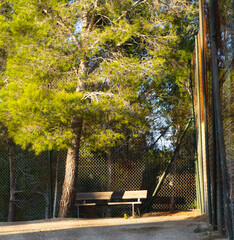 Banco al sol en un parque