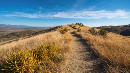 Hiking path along a hillside with dry grasslands and castor bean plants, highlighting erosion risk awareness