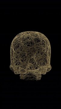 Abstract Skull Formed from Flowing Splines with Alpha Channel