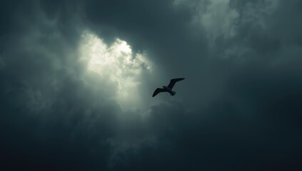 Birds dark outline flying past stormy sky and bright sun, illustrating natural flight scene
