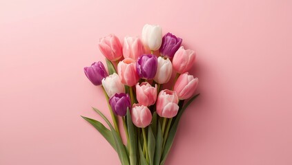 Fototapeta premium Pink backdrop featuring vibrant tulips in bloom, ideal for seasonal floral layouts