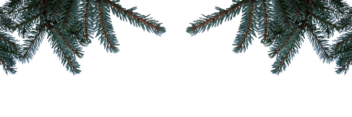 Winterlicher, weihnachtlicher Hintergrund mit Tannenzweigen mit Schnee, freigestellt mit PNG 