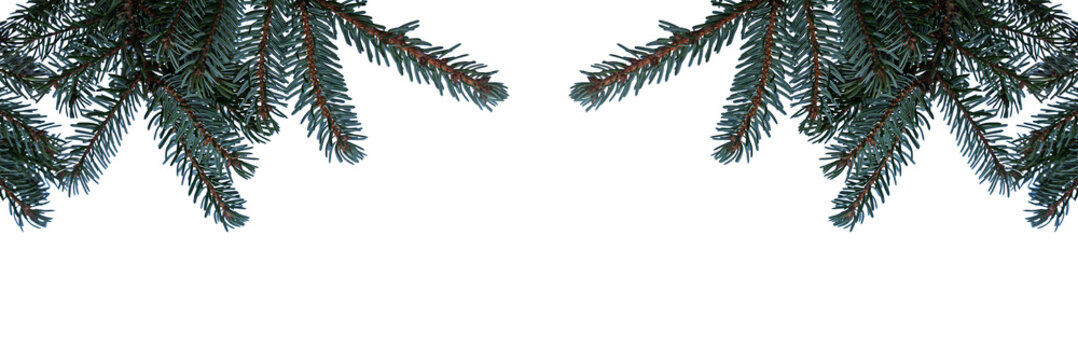 Winterlicher, weihnachtlicher Hintergrund mit Tannenzweigen mit Schnee, freigestellt mit PNG 