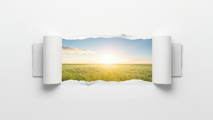 Fragmented paper with an outdoor scenery, used as a background for editorial headers