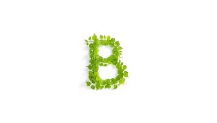 White background with alphabet leaf A B C D, designed for visual alphabet recognition tools