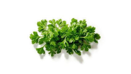 Fototapeta premium Bright green serrated cilantro leaves in vegetable display, suitable for fresh ingredient backgrounds