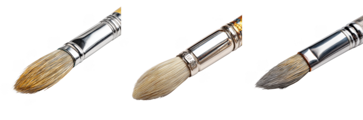 Set Of Artist Paint Brushes With Natural Bristles And Shiny Metal Ferrules Isolated on Transparent Background