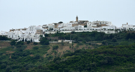Fototapeta premium Vista de Vejer de la Frontera en lo alto de un cerro desde la carretera A-396, provincia de Cádiz, Andalucía, España.