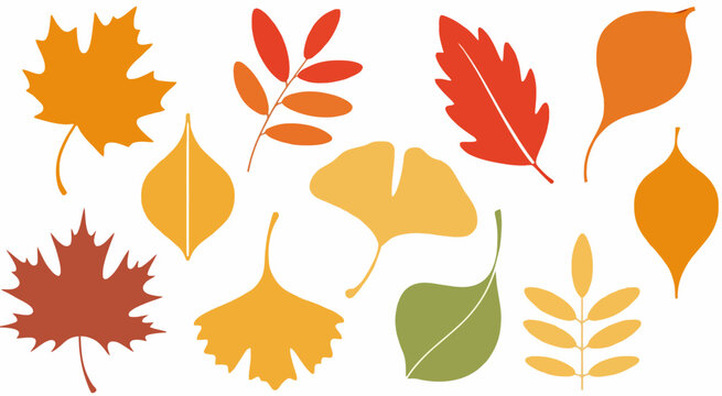 Collection of stylized autumn leaves in warm orange red yellow and green colors leaf fall
