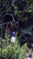 A light cord in garden