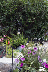 A light cord in garden