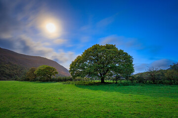 Beautiful autumn at the Buttermere lake in the Lake District National Park. England, UK