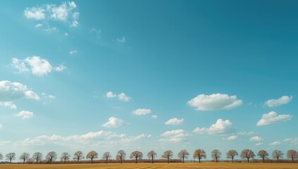 Bright daytime sky with scattered clouds and sparse trees, suitable for UI backdrop, Earth Day
