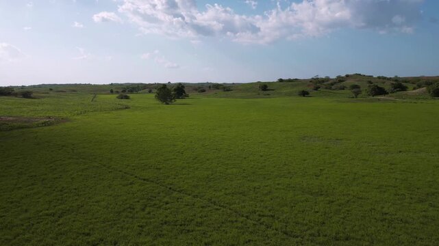 Paisaje a&eacute;reo de extensos pastizales verdes y colinas bajo un cielo despejado
