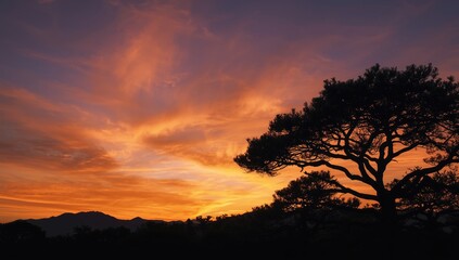 Fototapeta premium Sunset behind shadowed trees in a rural setting, highlighting natural beauty, Earth Day